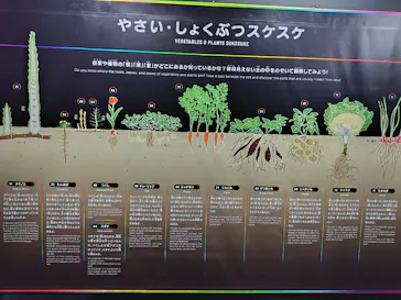 特別展「スケスケ展２」に投稿された画像（2026/9/20）