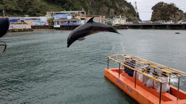 下田海中水族館に投稿された画像（2026/9/20）