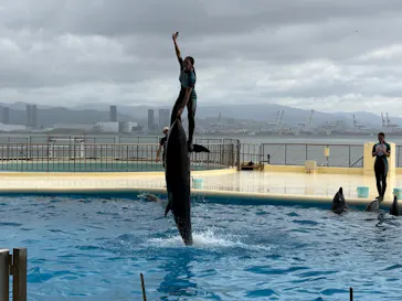マリンワールド海の中道に投稿された画像（2026/9/20）