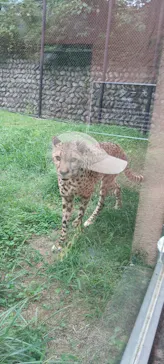 広島市安佐動物公園に投稿された画像（2026/9/20）