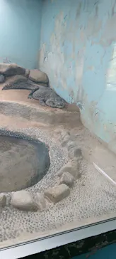 広島市安佐動物公園に投稿された画像（2026/9/20）