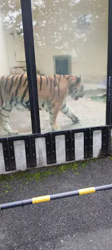 広島市安佐動物公園に投稿された画像（2026/9/20）