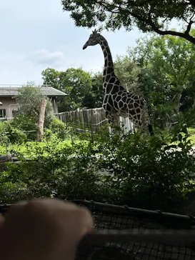 天王寺動物園に投稿された画像（2026/9/20）