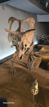 福井県立恐竜博物館に投稿された画像（2026/9/20）