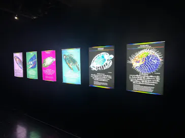 特別展「スケスケ展２」に投稿された画像（2026/9/20）