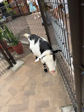天王寺動物園に投稿された画像（2026/9/20）