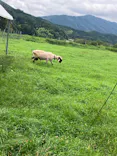 EnglishGardenローザンベリー多和田に投稿された画像（2026/9/20）
