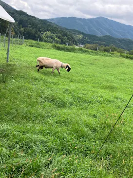 EnglishGardenローザンベリー多和田に投稿された画像（2026/9/20）