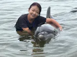 日間賀島ドルフィンビーチに投稿された画像（2026/9/20）