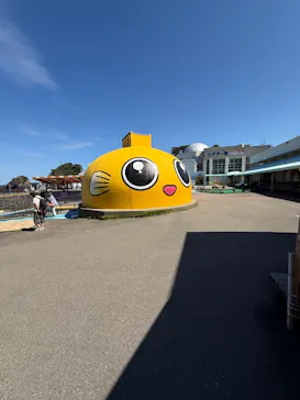 越前松島水族館に投稿された画像（2026/9/20）