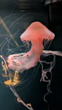 京都水族館に投稿された画像（2026/9/20）