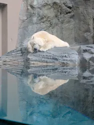 男鹿水族館GAOに投稿された画像（2026/9/20）