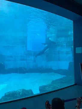 名古屋港水族館に投稿された画像（2026/9/20）