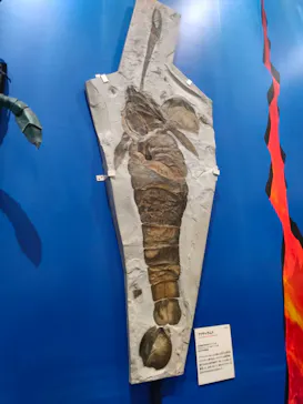 特別展　大絶滅展に投稿された画像（2026/9/20）