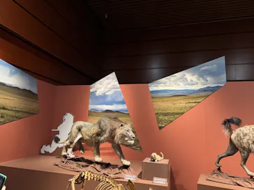 特別展「氷河期展　人類が見た４万年前の世界」（福岡会場）に投稿された画像（2026/9/20）