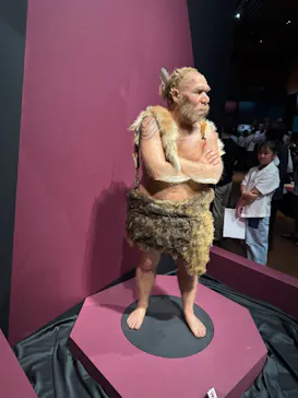 特別展「氷河期展　人類が見た４万年前の世界」（福岡会場）に投稿された画像（2026/9/20）