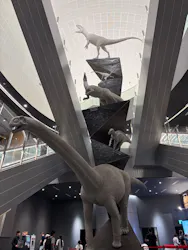 福井県立恐竜博物館に投稿された画像（2026/9/20）