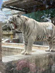 東武動物公園に投稿された画像（2026/9/20）