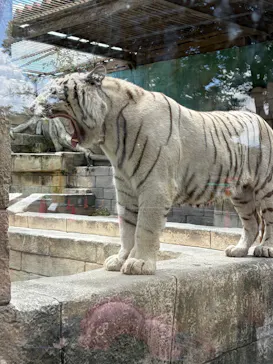 東武動物公園に投稿された画像（2026/9/20）