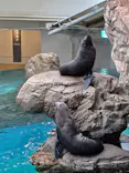 京都水族館に投稿された画像（2026/9/20）