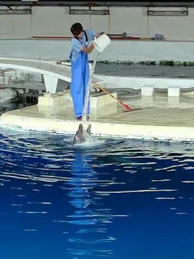 京都水族館に投稿された画像（2026/9/20）