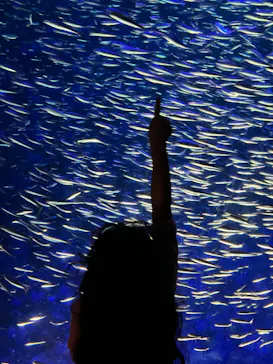 大分マリーンパレス水族館 「うみたまご」に投稿された画像（2026/9/20）