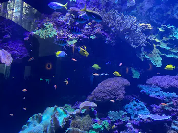 大分マリーンパレス水族館 「うみたまご」に投稿された画像（2026/9/20）