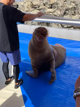 大分マリーンパレス水族館 「うみたまご」に投稿された画像（2026/9/20）
