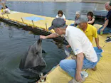 日間賀島ドルフィンビーチに投稿された画像（2026/9/20）
