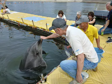 日間賀島ドルフィンビーチに投稿された画像（2026/9/20）
