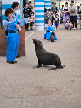 京都水族館に投稿された画像（2026/9/20）