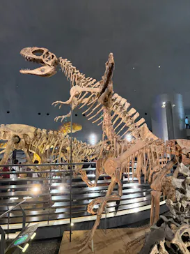 福井県立恐竜博物館に投稿された画像（2026/9/20）