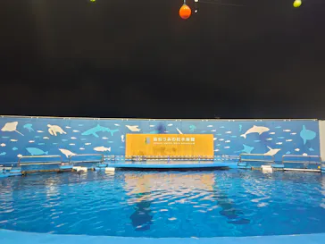 仙台うみの杜水族館に投稿された画像（2026/9/20）
