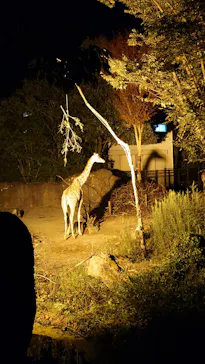 いしかわ動物園に投稿された画像（2026/9/20）