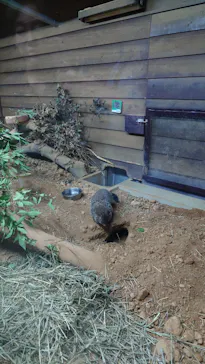 いしかわ動物園に投稿された画像（2026/9/20）