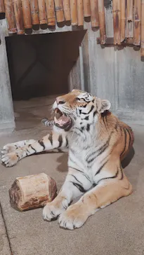いしかわ動物園に投稿された画像（2026/9/20）