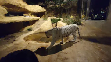 いしかわ動物園に投稿された画像（2026/9/20）