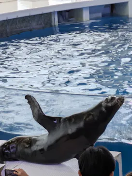アクアワールド茨城県大洗水族館に投稿された画像（2026/9/20）