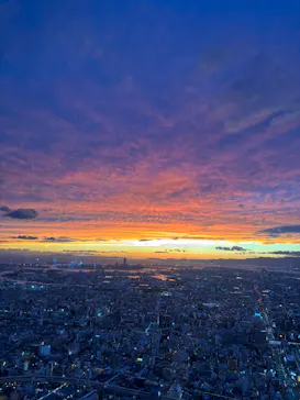 ハルカス300(展望台)に投稿された画像（2026/9/20）