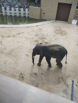 天王寺動物園に投稿された画像（2026/9/20）