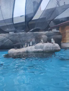 天王寺動物園に投稿された画像（2026/9/20）