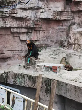 天王寺動物園に投稿された画像（2026/9/20）