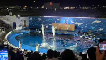 仙台うみの杜水族館に投稿された画像（2026/9/20）