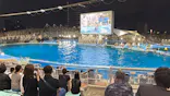 名古屋港水族館に投稿された画像（2026/9/20）