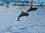名古屋港水族館に投稿された画像（2026/9/20）