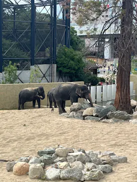 天王寺動物園に投稿された画像（2026/9/20）