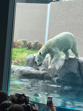 天王寺動物園に投稿された画像（2026/9/20）