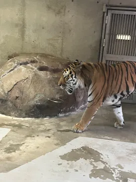 天王寺動物園に投稿された画像（2026/9/20）