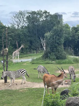 天王寺動物園に投稿された画像（2026/9/20）