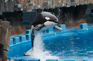 名古屋港水族館に投稿された画像（2026/9/20）